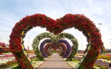 Miracle Garden, Dubai